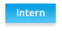 Intern