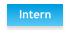 Intern