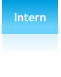 Intern